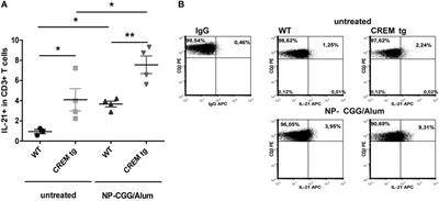 CREM Alpha Enhances IL-21 Production in T Cells In Vivo and In Vitro